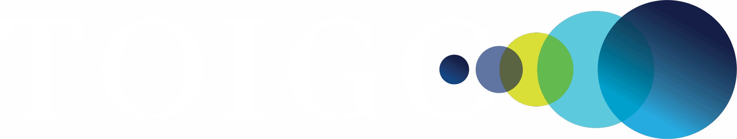 The Robert Toigo Foundation